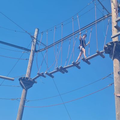 3d8568a8-bf23-4804-8862-605576638556